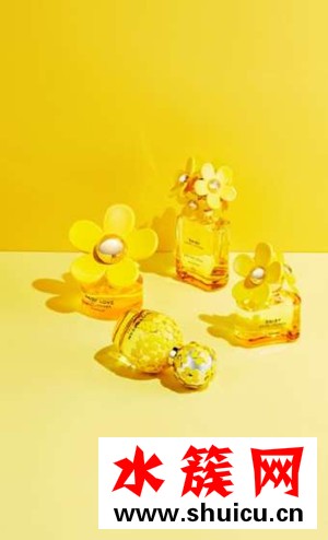 2019新年12星座開運香氛