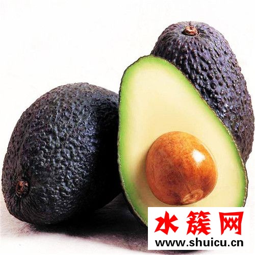 牛油果一年四季都有嗎