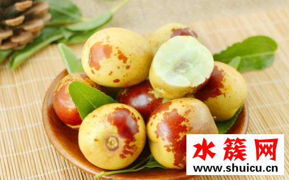 冬棗什么時候成熟