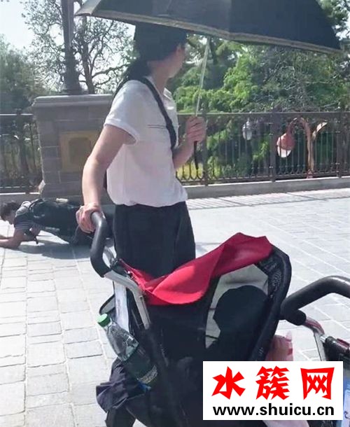 驚呆了!董璇游迪士尼 這到底是個什么梗? 董璇游迪士尼