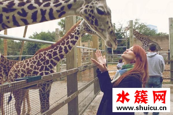 擊退嬰兒肥和雙下巴 7步瘦出精致小V臉