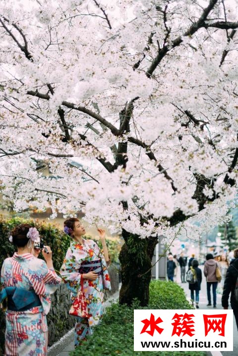2018新流行趨勢(shì) 櫻花妝讓戀愛(ài)運(yùn)急上升 2018新流行趨勢(shì) 櫻花妝讓戀愛(ài)運(yùn)急上升