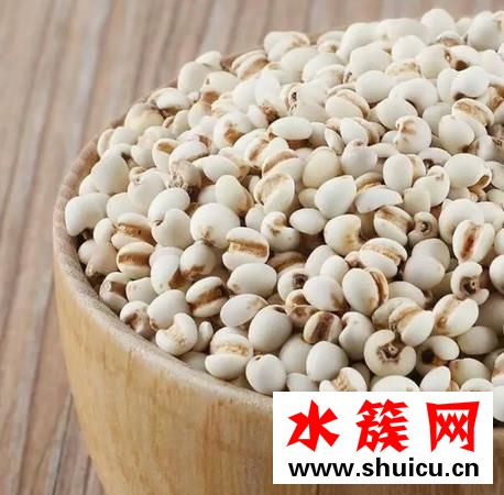 薏米炒熟好還是不炒好