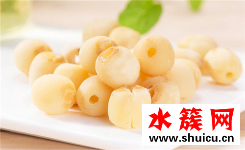 蓮子能泡水喝嗎 蓮子怎么吃下火 蓮子能泡水喝嗎