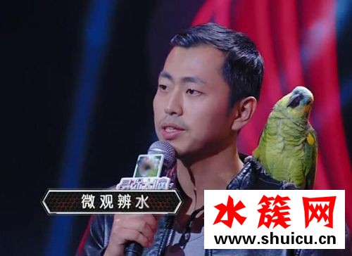 最前大腦水哥是哪一季