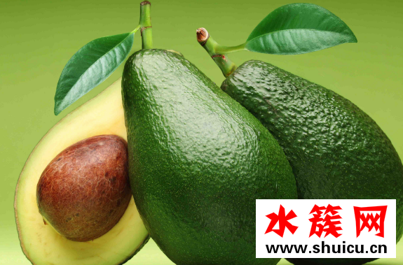 牛油果怎么吃豐胸 牛油果的營養(yǎng)價值 牛油果怎么吃豐胸