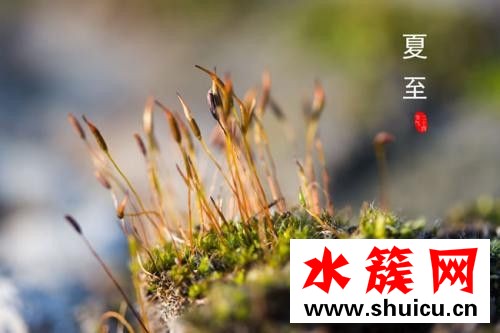 夏至吃安宮牛黃丸好嗎