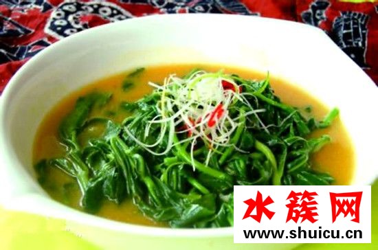 救心菜的功效與作用