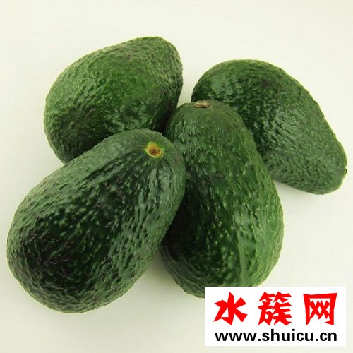 吃牛油果會過敏嗎