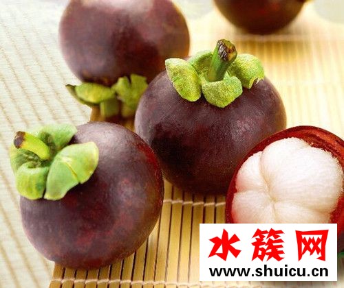 吃山竹會過敏嗎 吃山竹過敏怎么辦 山竹能多吃嗎 吃山竹會過敏嗎