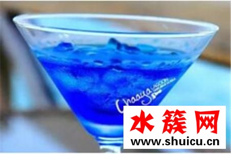 巴厘島的藍可樂多少錢一瓶