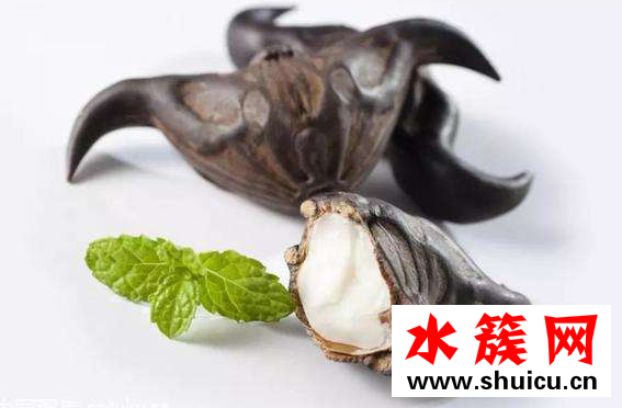 菱角孕婦能吃嗎 菱角怎么剝殼 菱角孕婦能吃嗎