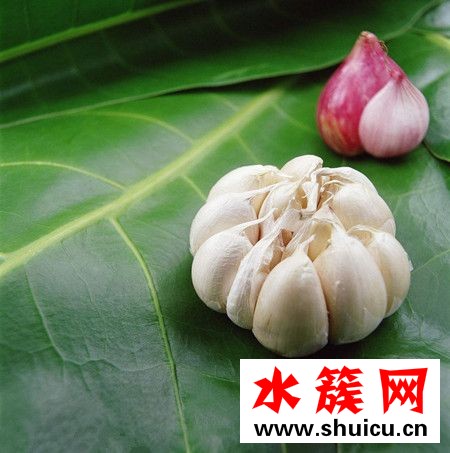 什么食物吃了最健康