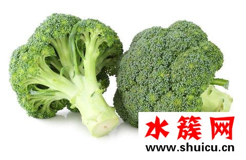 什么食物吃了最健康