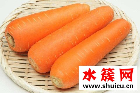 什么食物吃了最健康