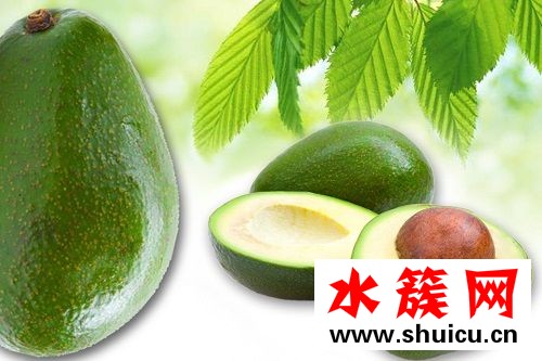 寶寶便秘能吃牛油果嗎