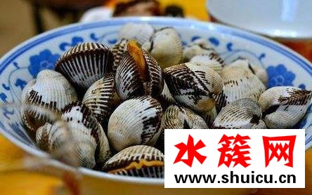 貝殼類是干垃圾嗎 貝殼類是干垃圾還是濕垃圾 貝殼類是干垃圾嗎