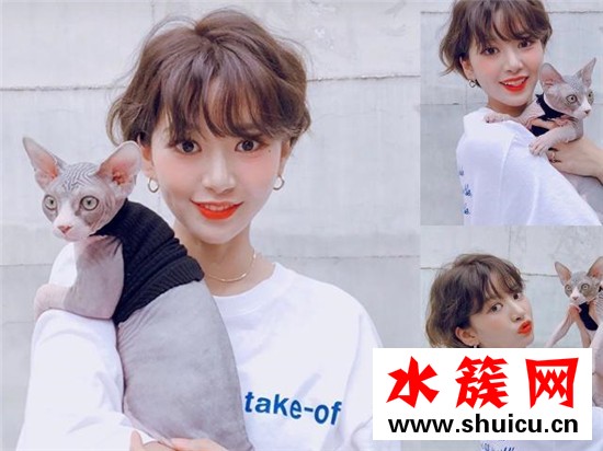 頭發少齊肩短發燙什么卷 2019流行短發燙什么卷 頭發少齊肩短發燙什么卷