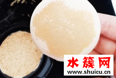 楊冪代言的彩妝雅詩蘭黛氣墊怎么樣 楊冪代言的氣墊是什么牌子