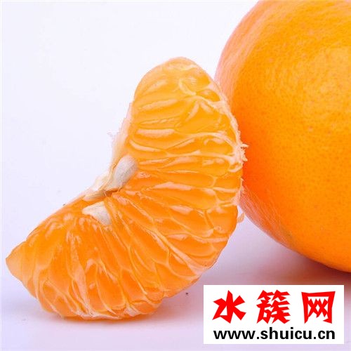 椪柑和橘子的區別