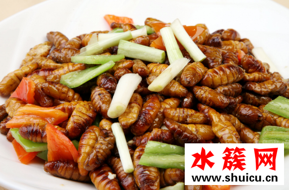 蠶蛹怎么做好吃 蠶蛹的功效與作用 蠶蛹怎么做好吃