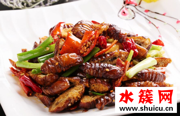 蠶蛹怎么做好吃 蠶蛹的功效與作用 蠶蛹怎么做好吃