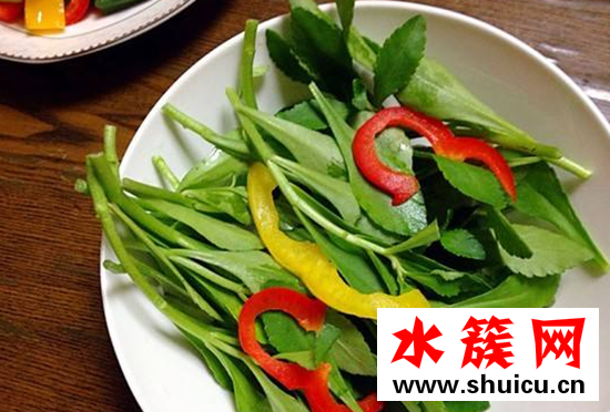 救心菜能泡水喝嗎 救心菜泡茶喝有什么好處 救心菜可以泡茶喝嗎