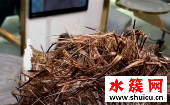 抖音螞蚱燙是什么梗