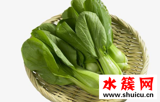 上海青的熱量 上海青的營(yíng)養(yǎng)價(jià)值 上海青的熱量