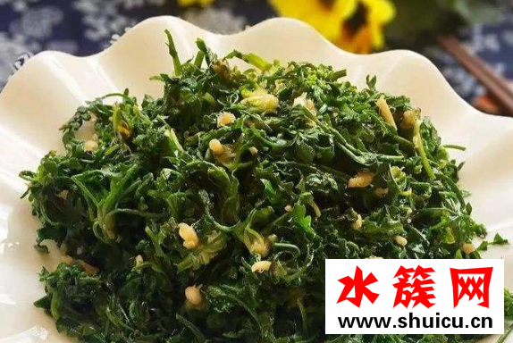 薺菜又叫什么菜