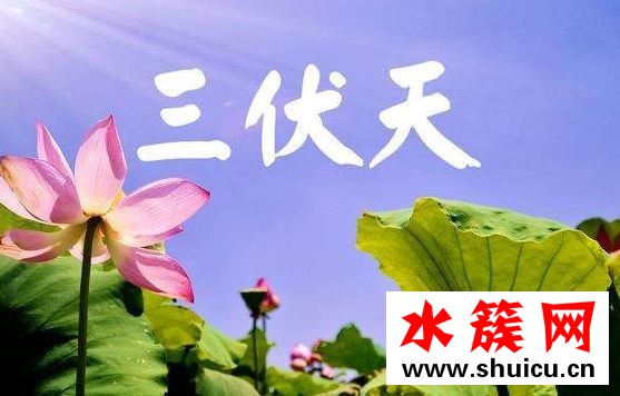 2019三伏天從什么時(shí)候開始 2019三伏天時(shí)間表 2019三伏天從什么時(shí)候開始