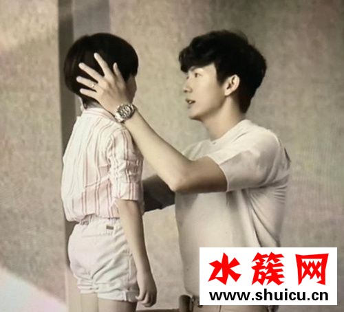 吹落的樹葉電視劇一共多少集