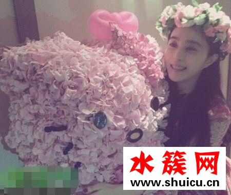 范冰冰為什么嫁給李晨 范冰冰和李晨結婚了嗎 范冰冰為什么嫁給李晨