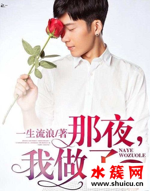 陳鋒羽婷張紅舞那夜我做了小說劇情介紹