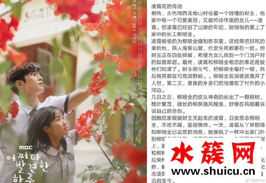 偶然發(fā)現(xiàn)的一天紅色的花是什么