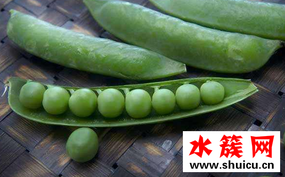 豌豆的熱量