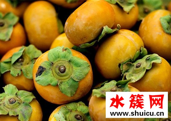 孕婦能吃柿子嗎 孕婦吃柿子對胎兒好嗎 孕婦能吃柿子嗎