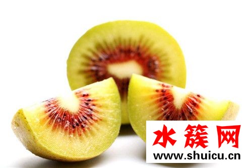 紅心獼猴桃是轉(zhuǎn)基因嗎