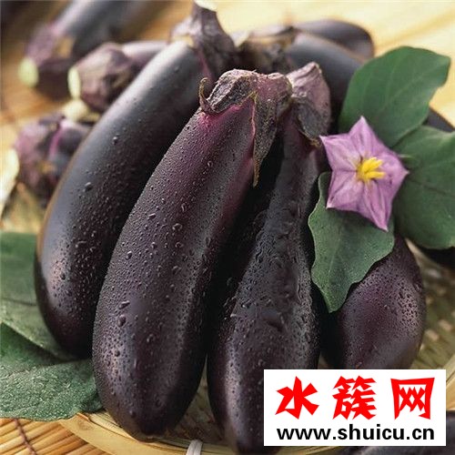 生吃茄子真的可以減肥嗎 茄子減肥吃法怎么做 生吃茄子真的可以減肥嗎