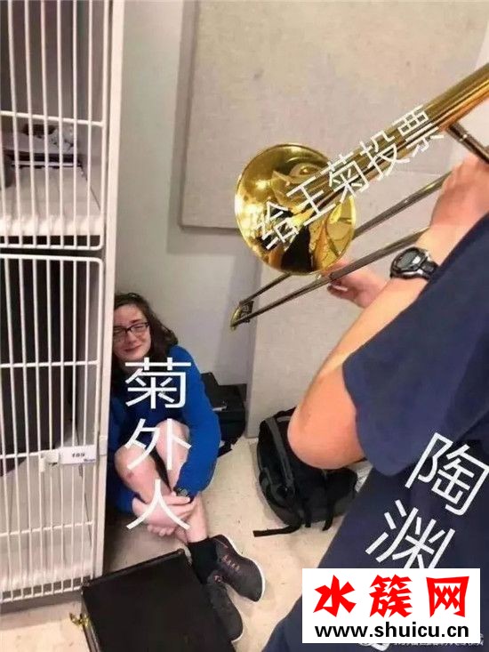 王菊為什么突然紅了 王菊怎么突然就火了 王菊為什么突然紅了