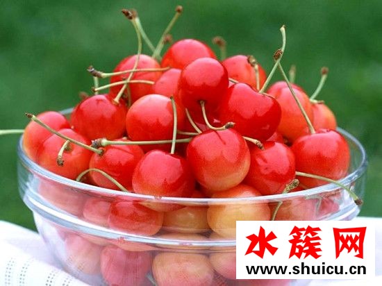 櫻桃是櫻花的果實嗎