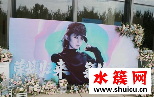 趙麗穎復(fù)工 到底什么原因? 趙麗穎復(fù)工