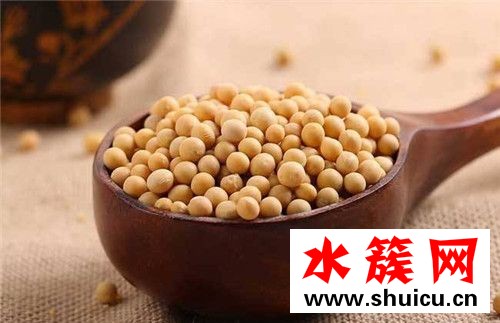 黃豆可以豐胸嗎