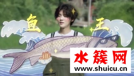 向往的生活鹿晗徒手抓魚是第幾期