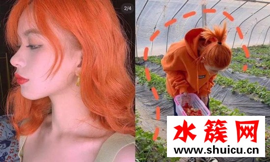 臟橘色適合黑黃皮嗎