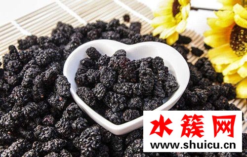 桑葚干泡水會上火嗎 干桑葚泡水喝的副作用 桑葚干泡水會上火嗎