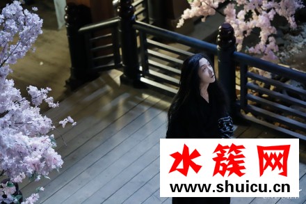 陳情令番外電影一共有幾部