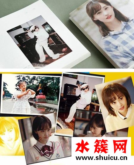 鄭爽的書會有張翰嗎