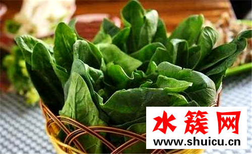 缺鋅補鋅的食物都有哪些 十大補鋅食物排行榜 缺鋅補鋅的食物都有哪些