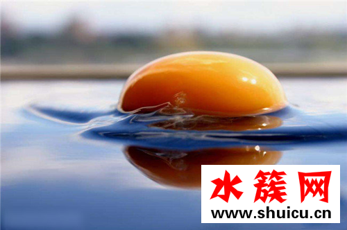 缺鋅補鋅的食物都有哪些 十大補鋅食物排行榜 缺鋅補鋅的食物都有哪些